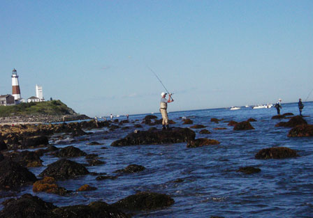 montauk fishing